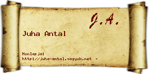 Juha Antal névjegykártya