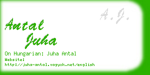 antal juha business card